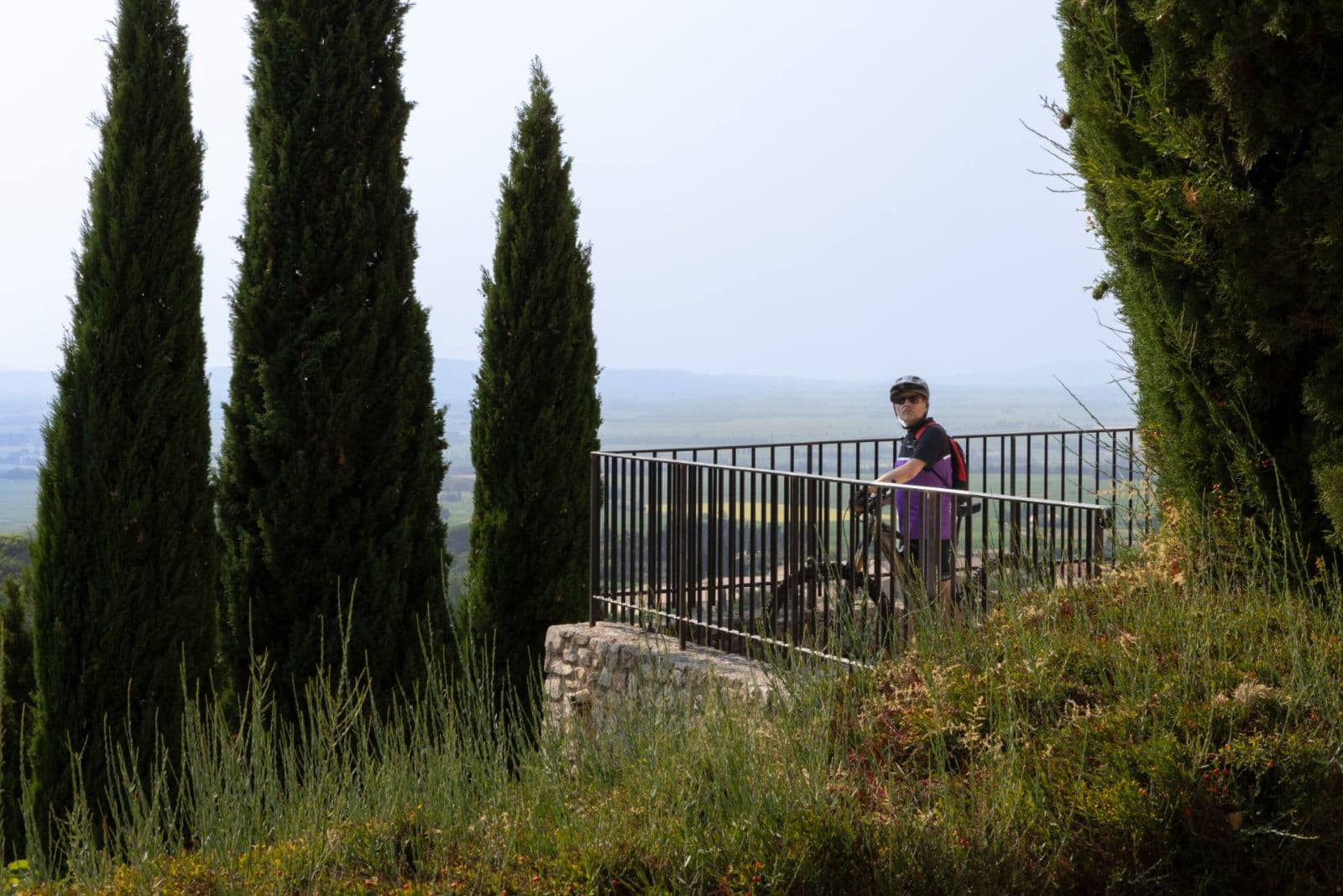 De wijngaarden en de Dentelles de Montmirail
