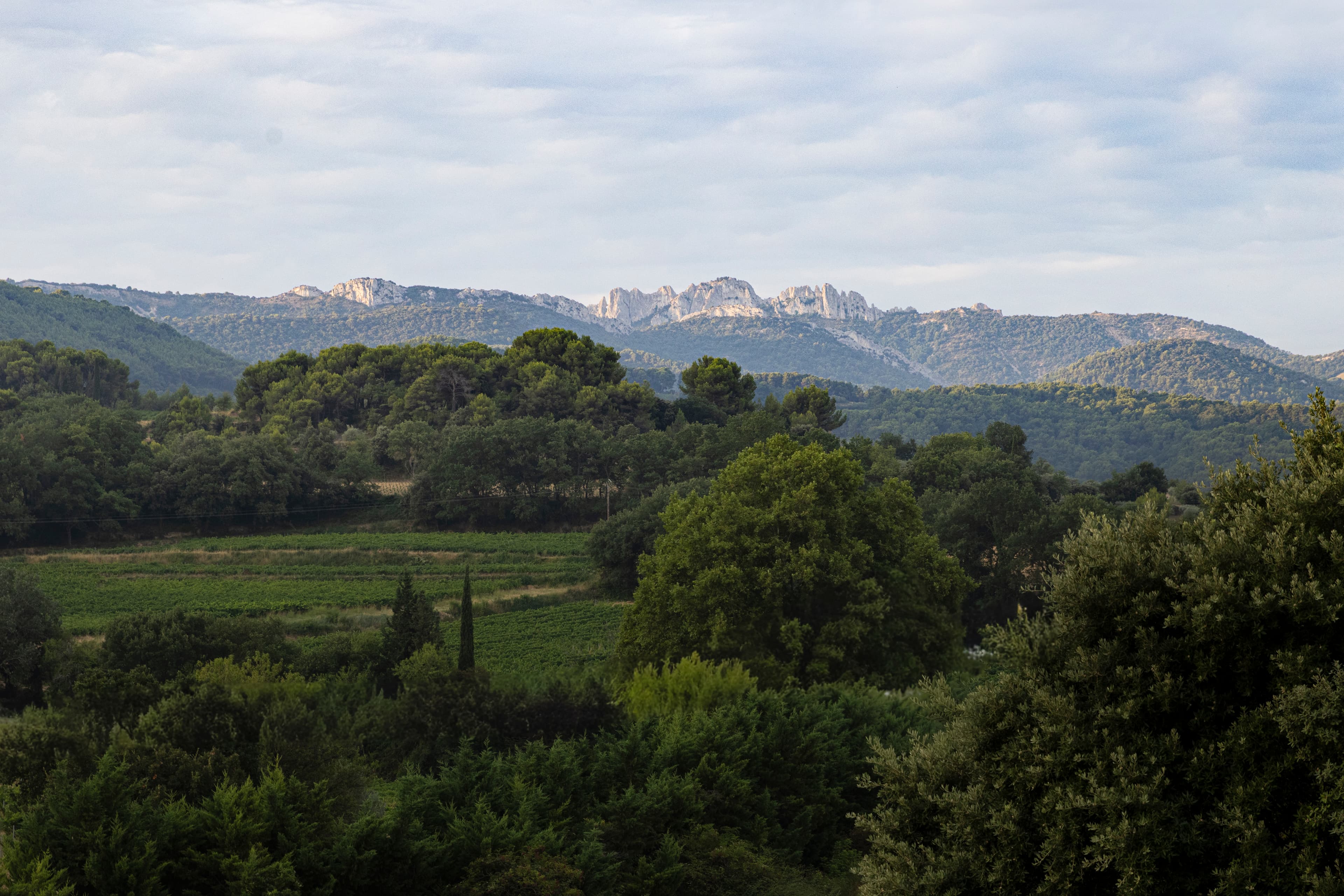 De Dentelles de Montmirail vanaf het terras, in de vroege ochtend