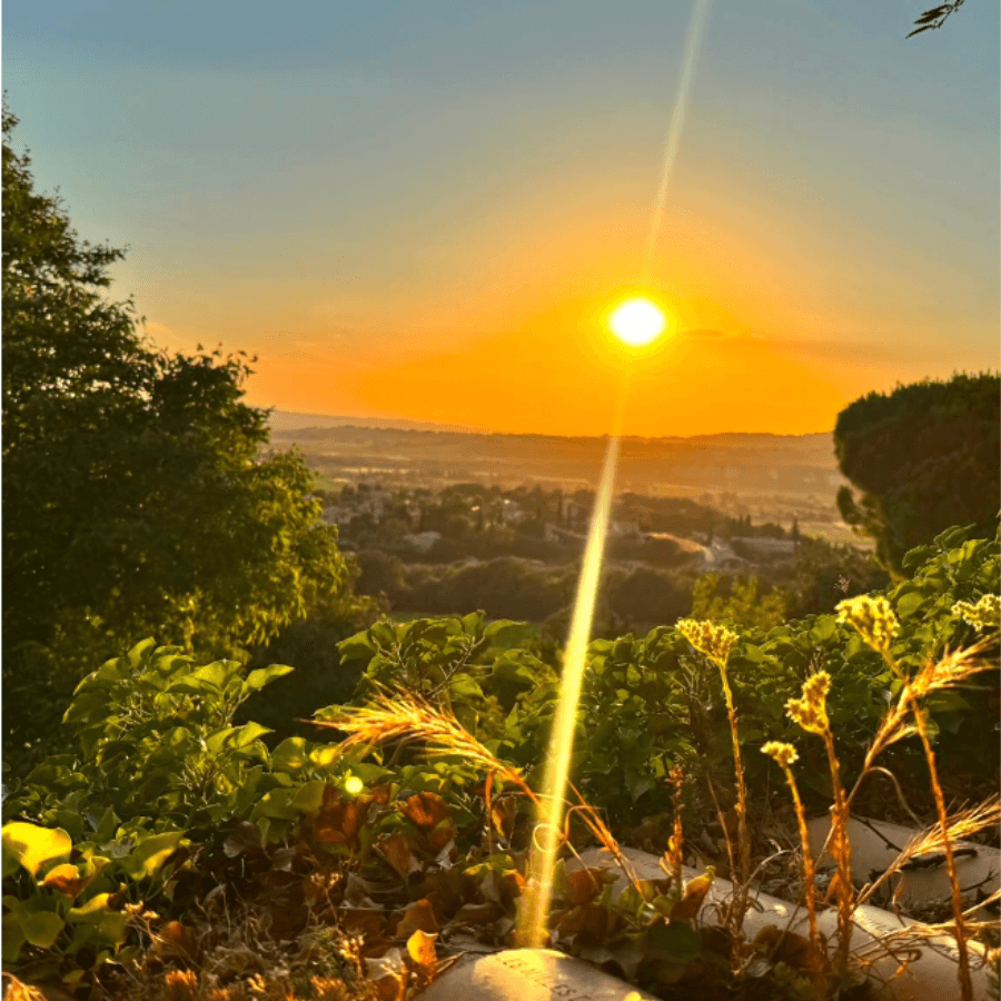 Sunset over the plain from the garden