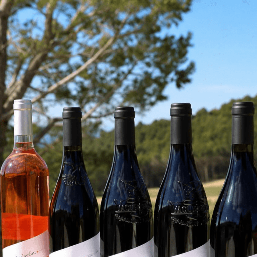 Bottles of Dentelles wine lined up